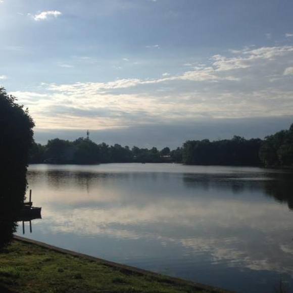 Meet your Posher, Paula - Picture 1 of 1